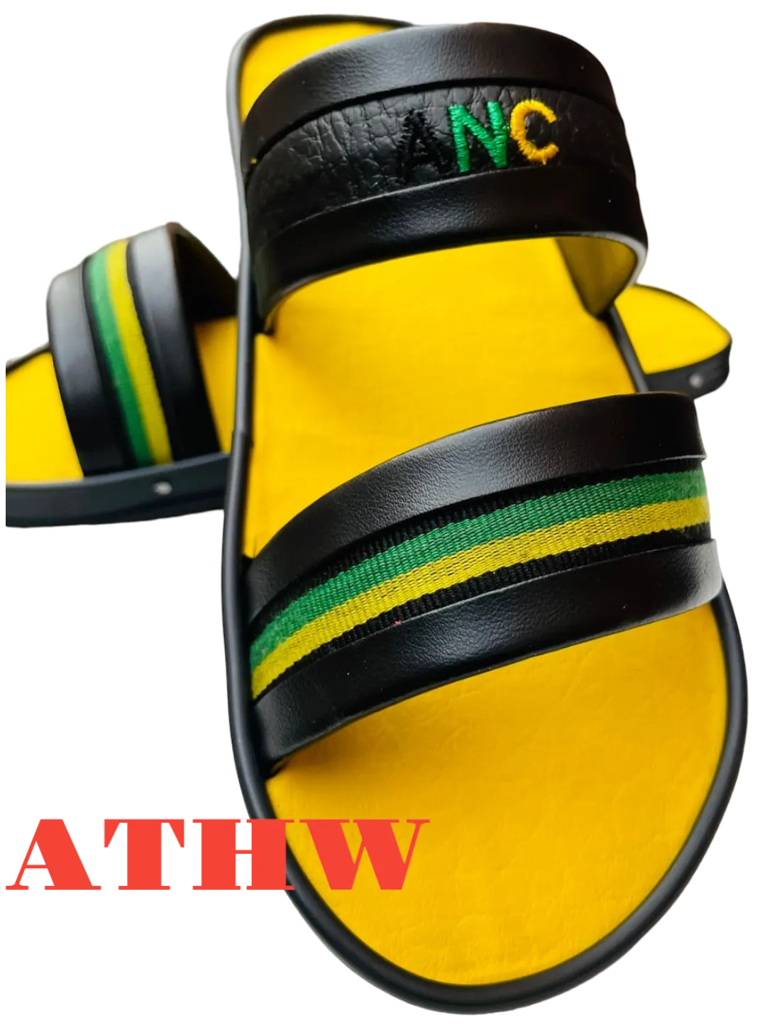 African National Congress